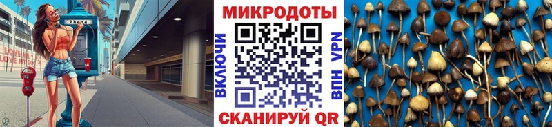 даркнет состав Валдай Псилоцибиновые грибы MAGIC MUSHROOMS